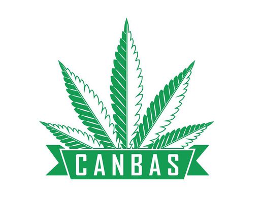 picture of Canbas Hanfshop