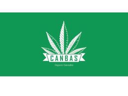 picture of Canbas Hanfshop