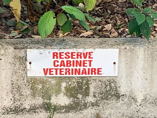 immagine di Cabinet Vétérinaire des Deux Communes - Dr. Doris Hugi