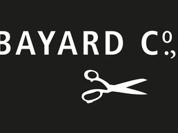 immagine di BAYARD CO LTD