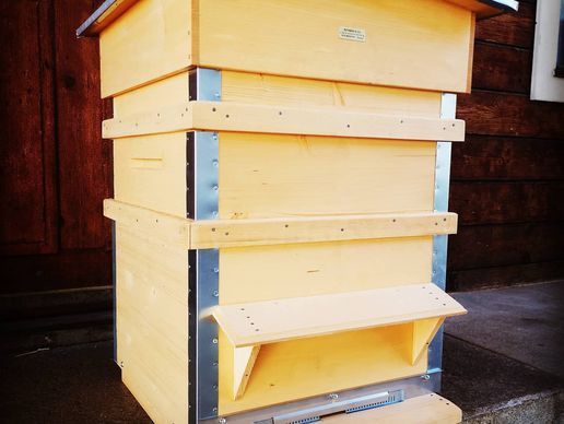 image de Rithner apiculture SA