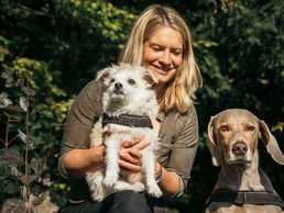 picture of Hundeschule animalcoach.ch Zürich