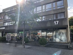 picture of BAYARD CO LTD WOMEN