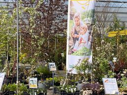 immagine di Haller AG