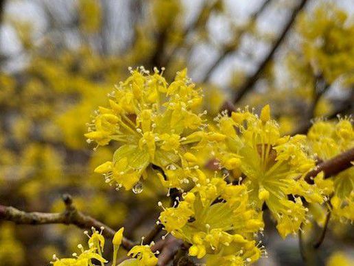 picture of Haller AG