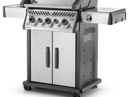 immagine di Rundumfisch AG