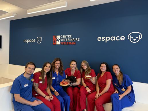 picture of VETLÉMAN - Centre Vétérinaire