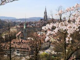 picture of Podologie Vogt