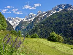 image de SOGLIO-PRODUKTE AG