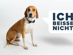 image de FOTOMEDIA MORGENEGG AG