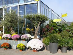 image de Rusterholz Pflanzencenter AG