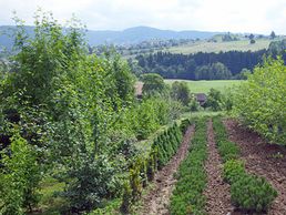 image de Rusterholz Pflanzencenter AG