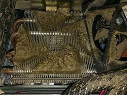 picture of Foppa Informatik