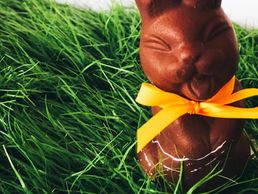 image de Guillaume Bichet - salon de thé