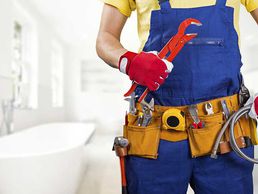 picture of PRO MULTISERVICES