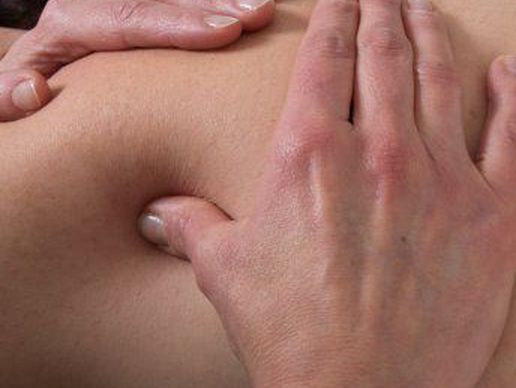 picture of INSTITUT JARDIN D'ESSENCES