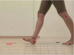 picture of Crippa Alessandro