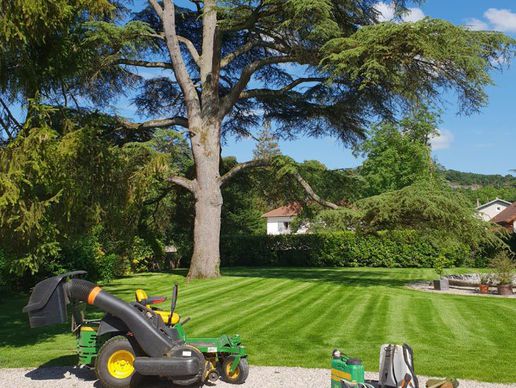 immagine di Vertica Paysage