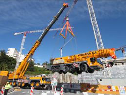 immagine di Vismara Camillo SA