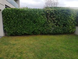 Bild zu PetitsTravaux.ch