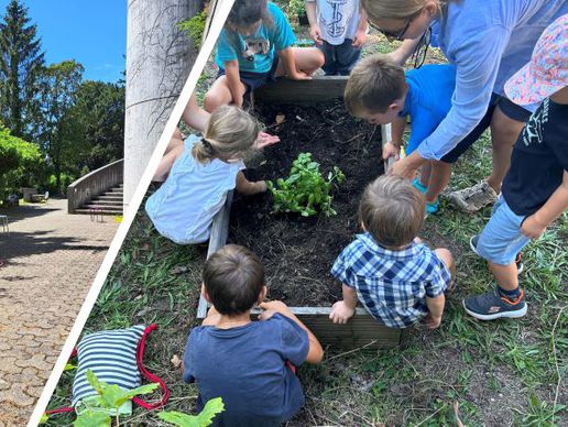 Bild zu Ecole Internationale Saint-Dominique Savio