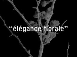 picture of Fleuriot Fleurs, Fleuriste