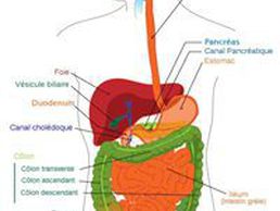 image de Cabinet équilibr'in