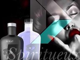 picture of DM IMPORT SA