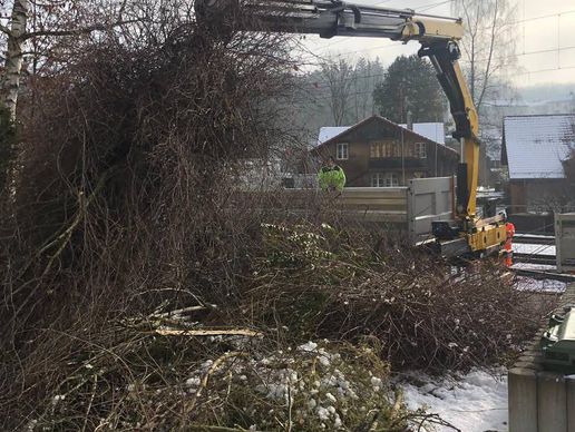 Bild zu Tschan Gartenbau & Gartenunterhalt GmbH