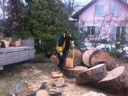 immagine di DULLA PARCS ET JARDINS SA