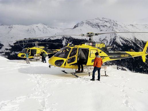image de Eagle Valais
