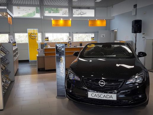 Bild zu Atlas Automobiles SA, succursale de Sierre