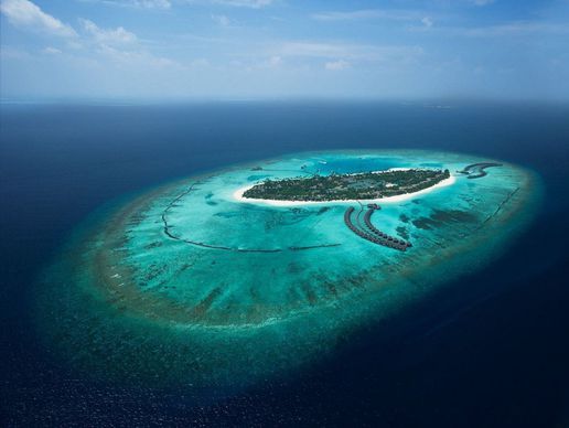 picture of Dolphin Voyages