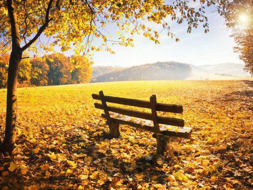 picture of Voeffray & Fils