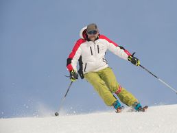 Bild zu Swiss-Discovery