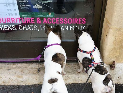 Bild zu Boutique Pense-Bêtes