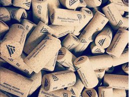 image de Domaine de Montmollin SA