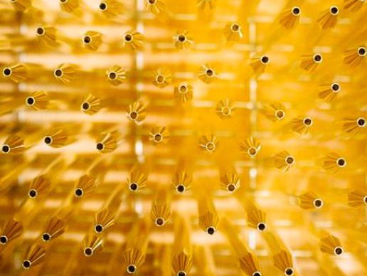 picture of Guillaume Mégevand Photography