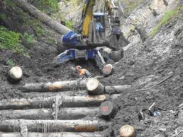 Bild zu Tschanz Peter