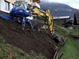 Bild zu Tschanz Peter