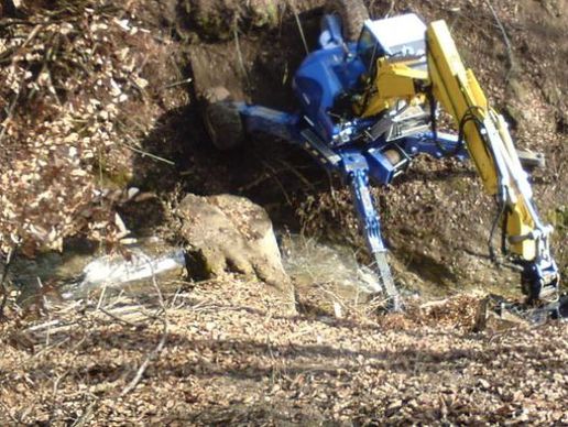 Bild zu Tschanz Peter