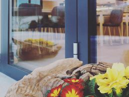 Bild zu Ristorante ParcoMaggia