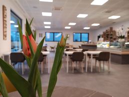 Bild zu Ristorante ParcoMaggia