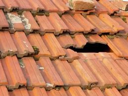 picture of Tim's Dächer - Gavin Kitchen