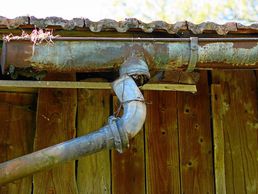 picture of Tim's Dächer - Gavin Kitchen