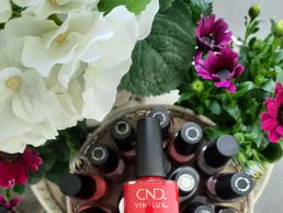 picture of Gisi Sandra und Bruno