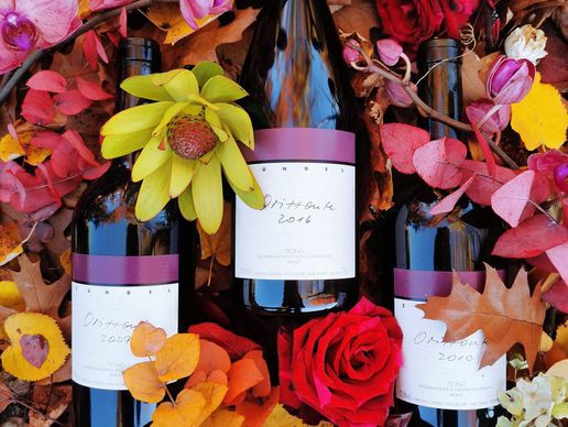 immagine di Zündel Azienda Agricola SA