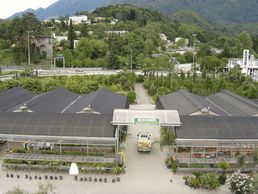 picture of Schober Giardini