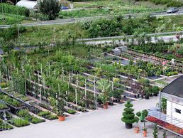 picture of Schober Giardini