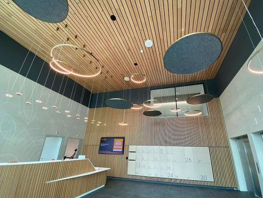 image de Brunel Faux-Plafonds